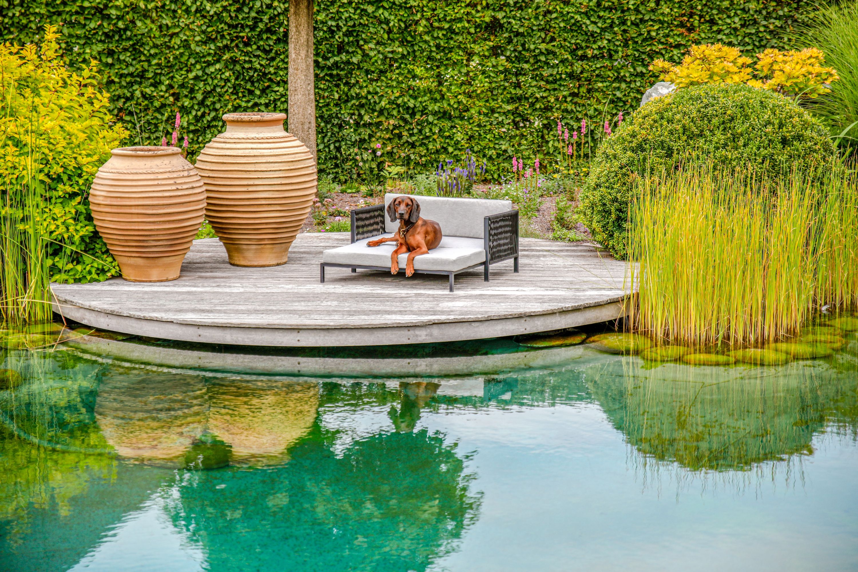 Hundesofa greemotion Outdoor
