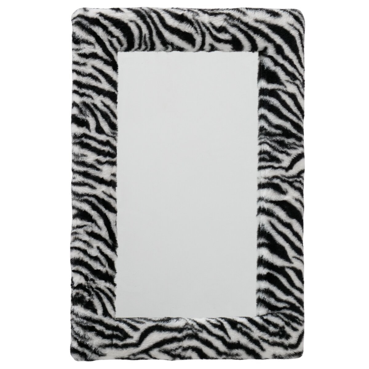 Spiegel ZEBRA