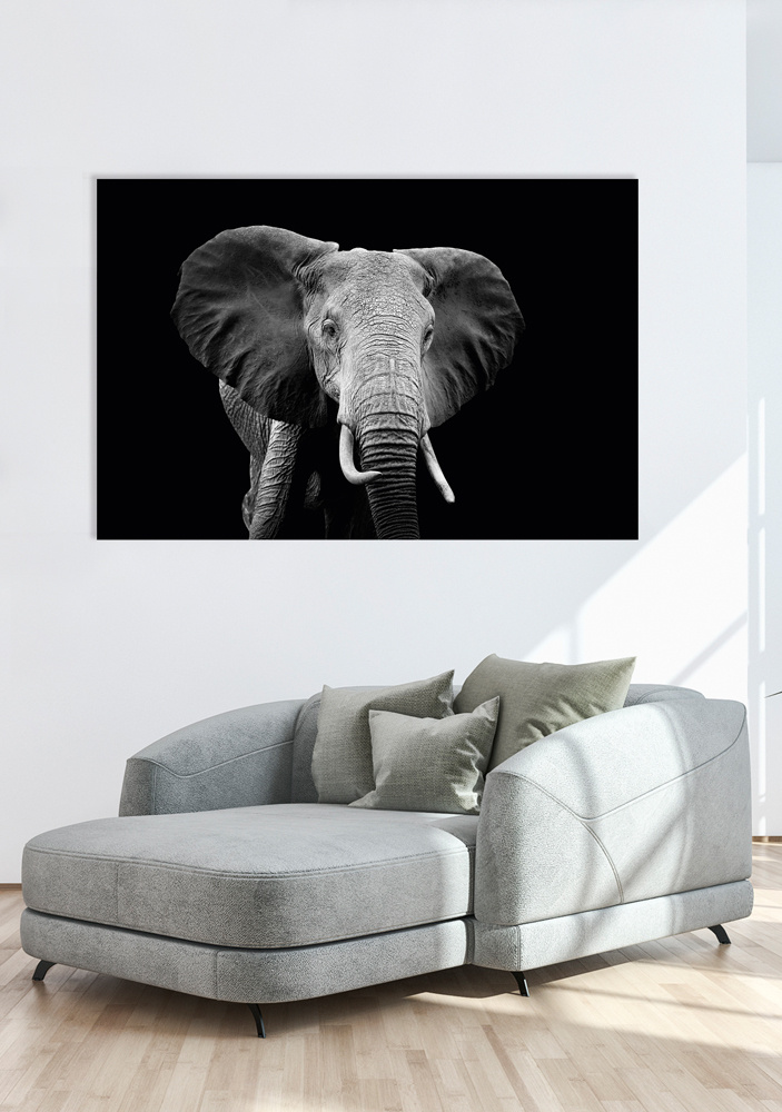 Akustikbild ELEFANT