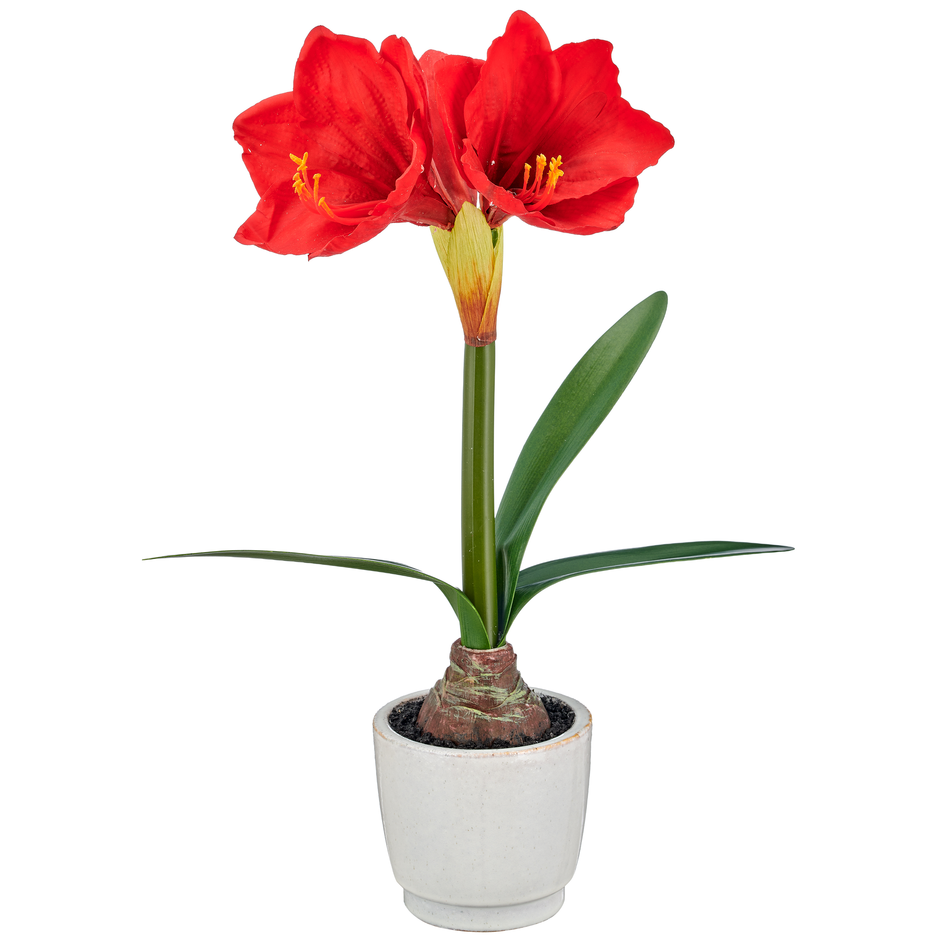 Kunstblume Amaryllis