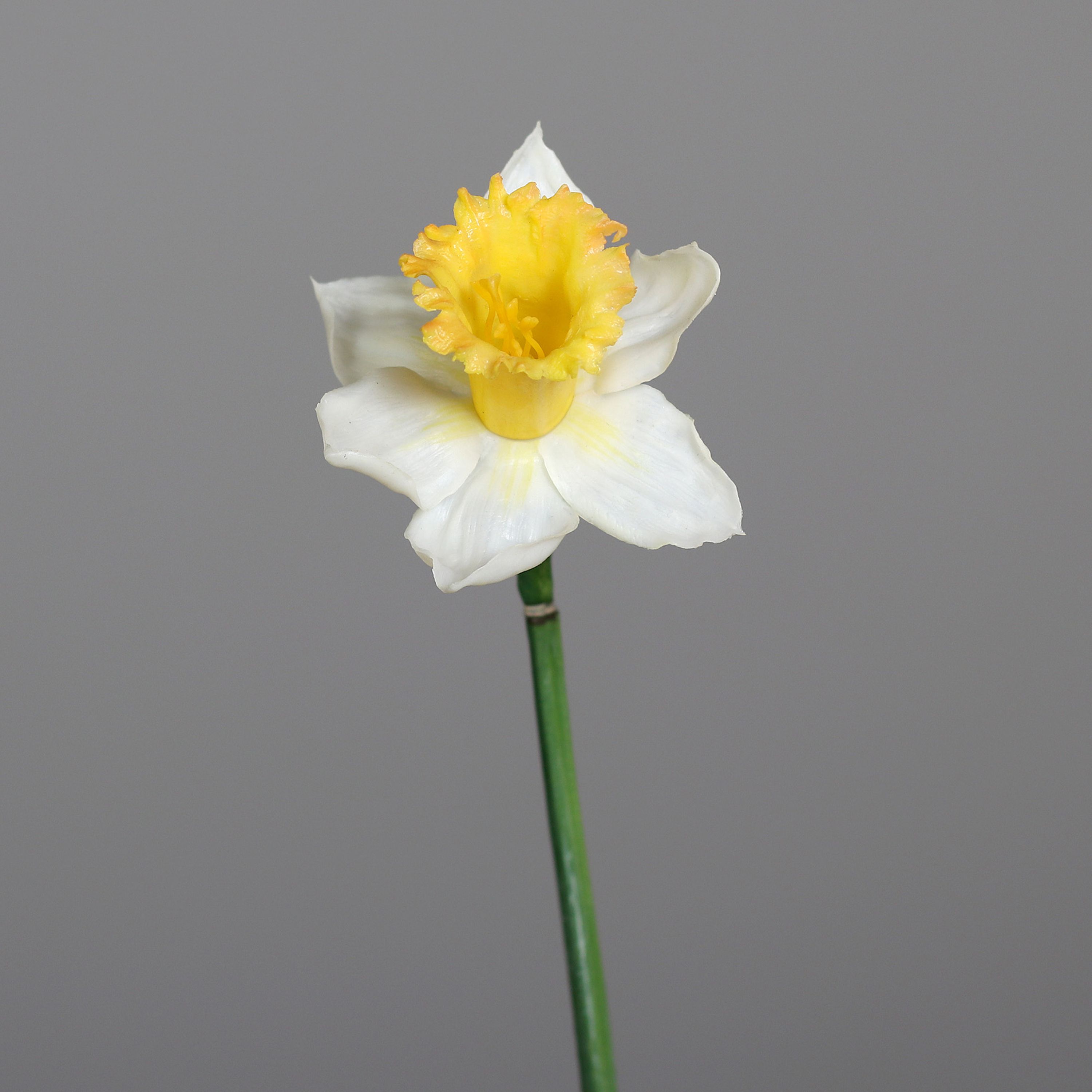 Kunstblume Narzisse