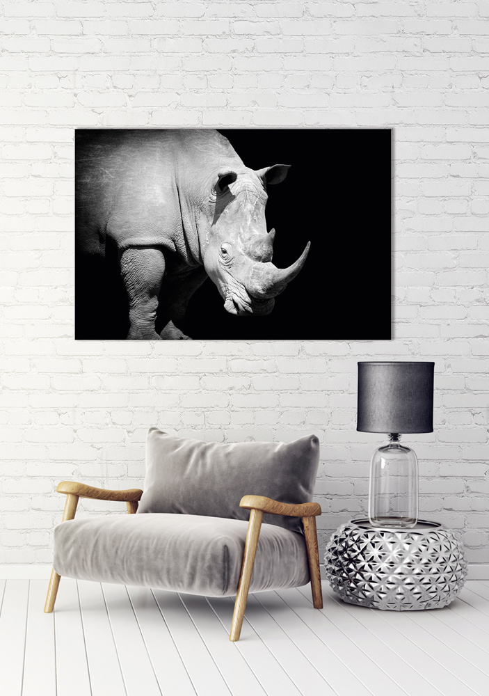 Akustikbild NASHORN