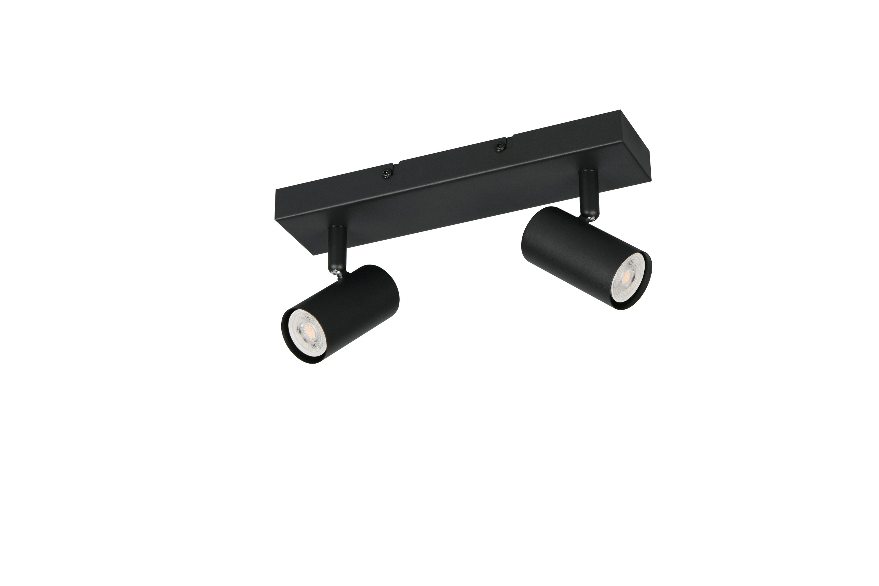 Deckenspot TARYN 2-flammig