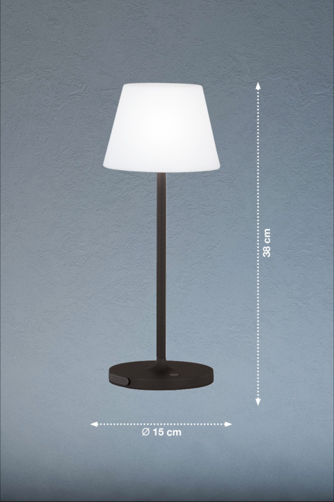 Tischleuchte FLUS
