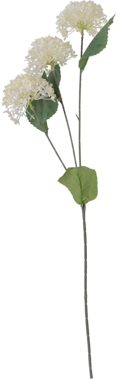 Kunstblume Zweig
