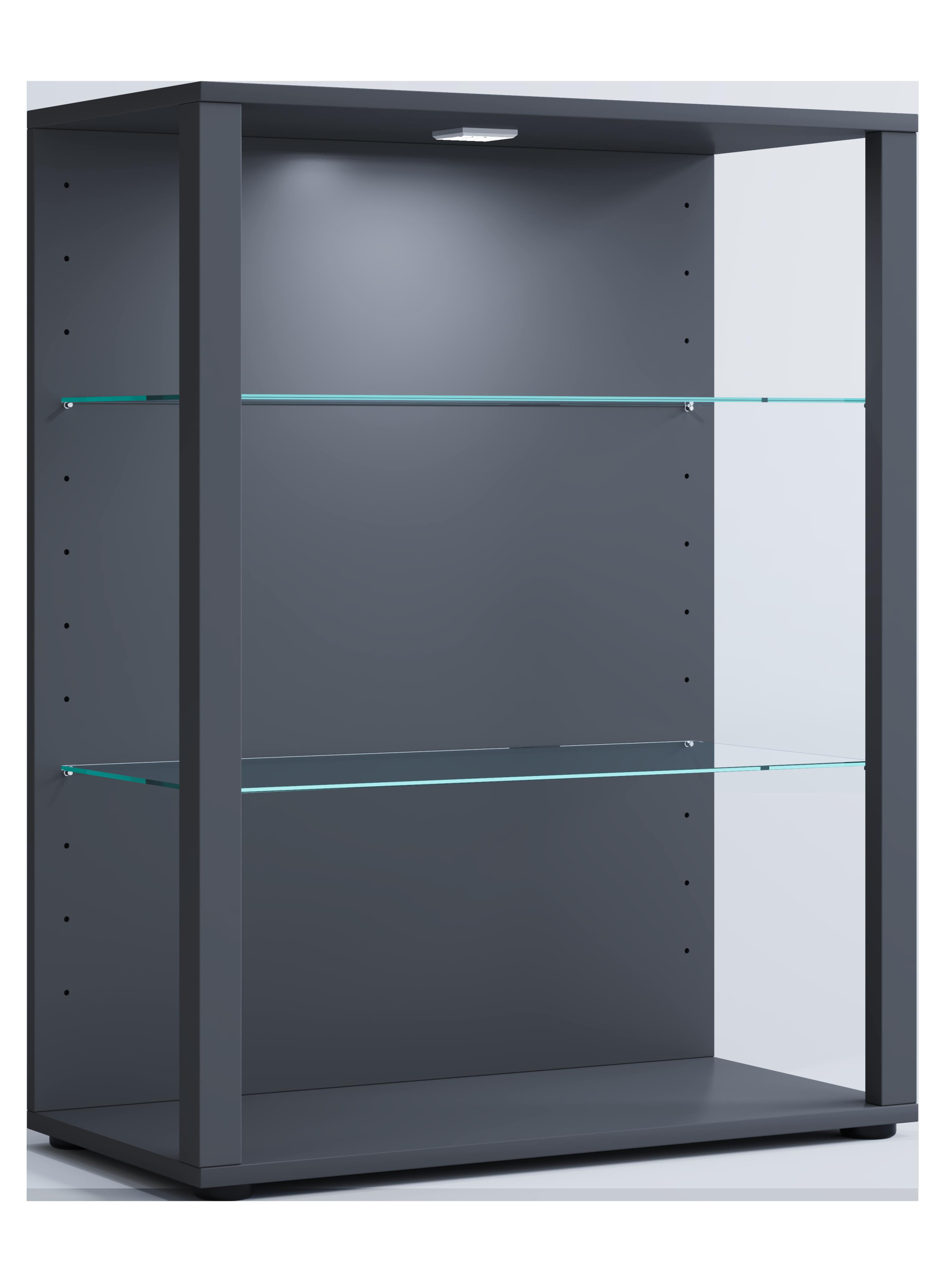 Vitrine GLASOL