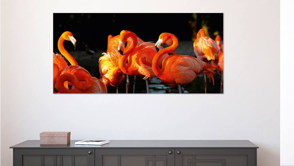 Akustikbild FLAMINGOS