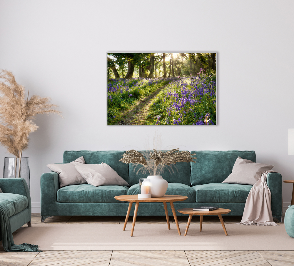 Akustikbild WALD LAVENDEL 2