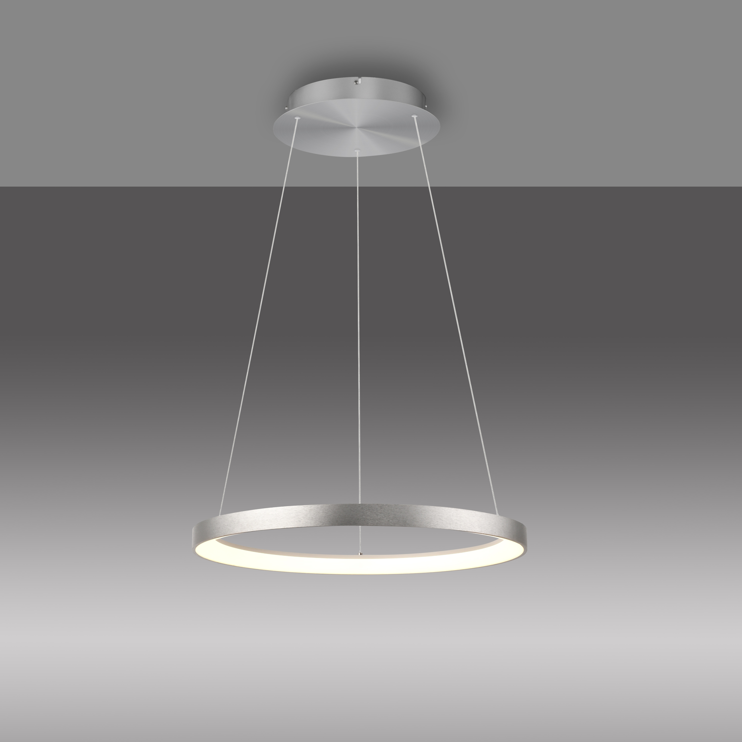 Pendelleuchte HOOP LED