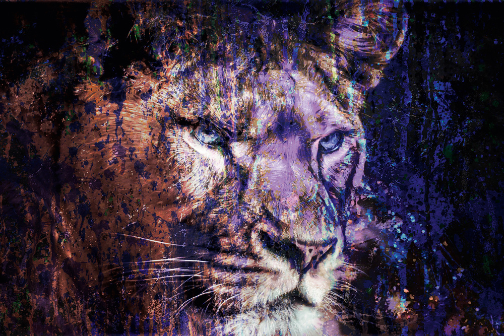 Akustikbild LÖWE IN BLAU