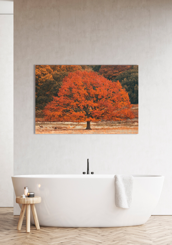 Akustikbild HERBSTBAUM