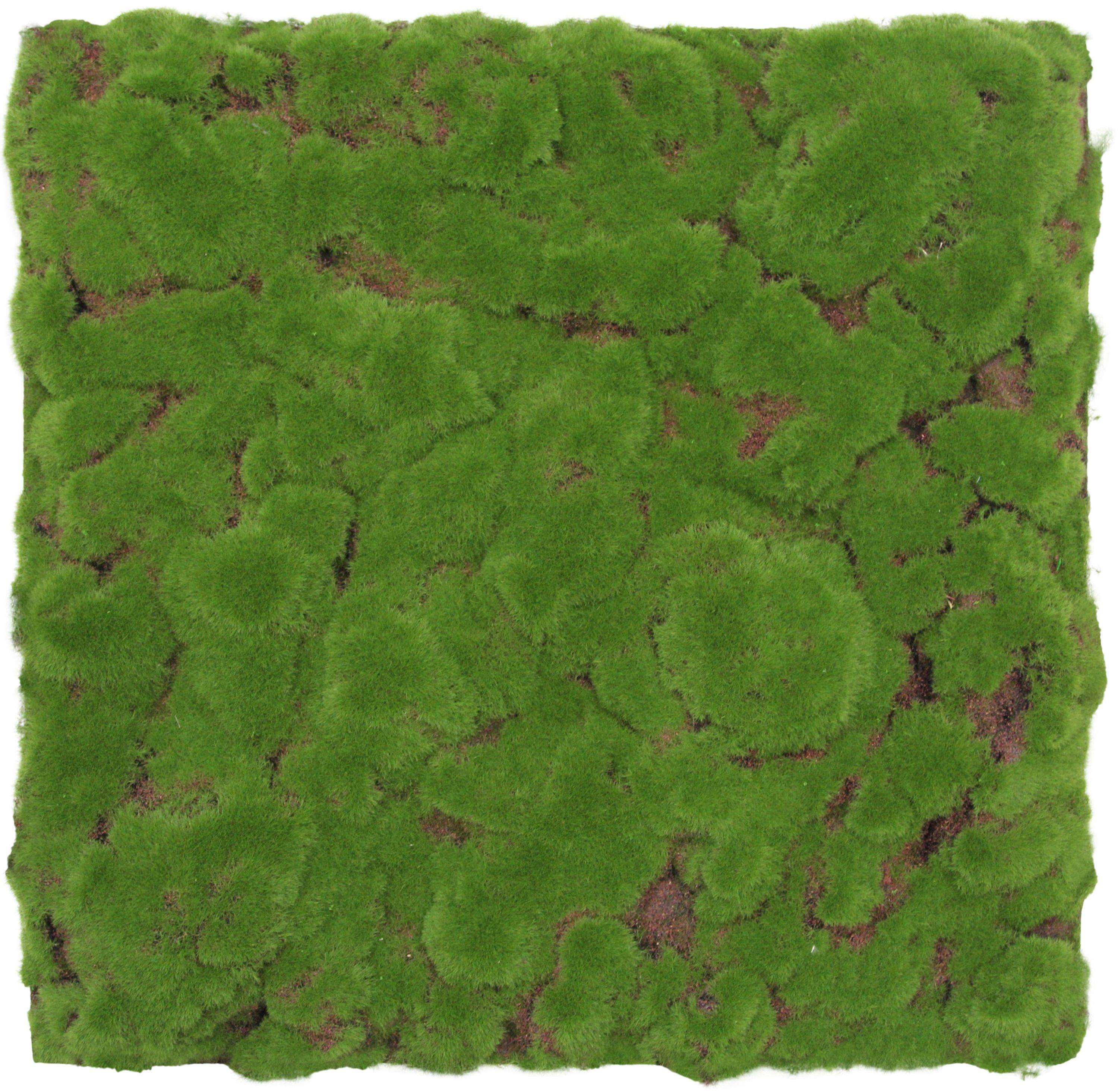 Wandpaneel MODULAR WALL
