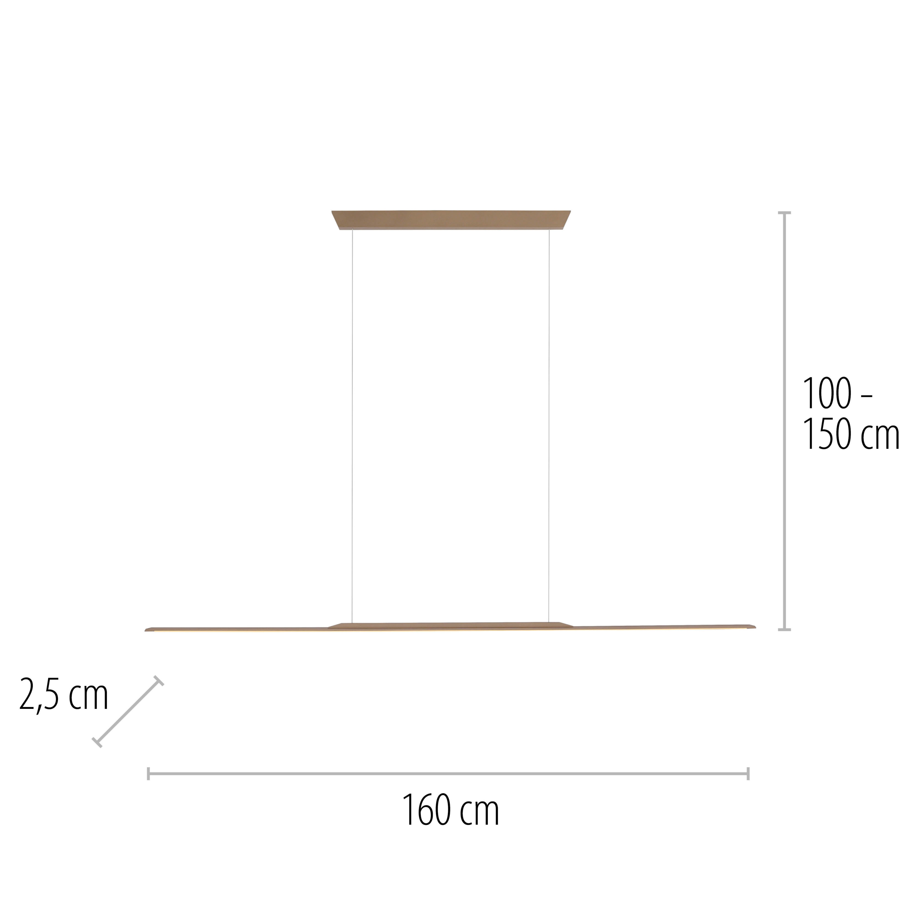 Pendelleuchte PURE SURFACE