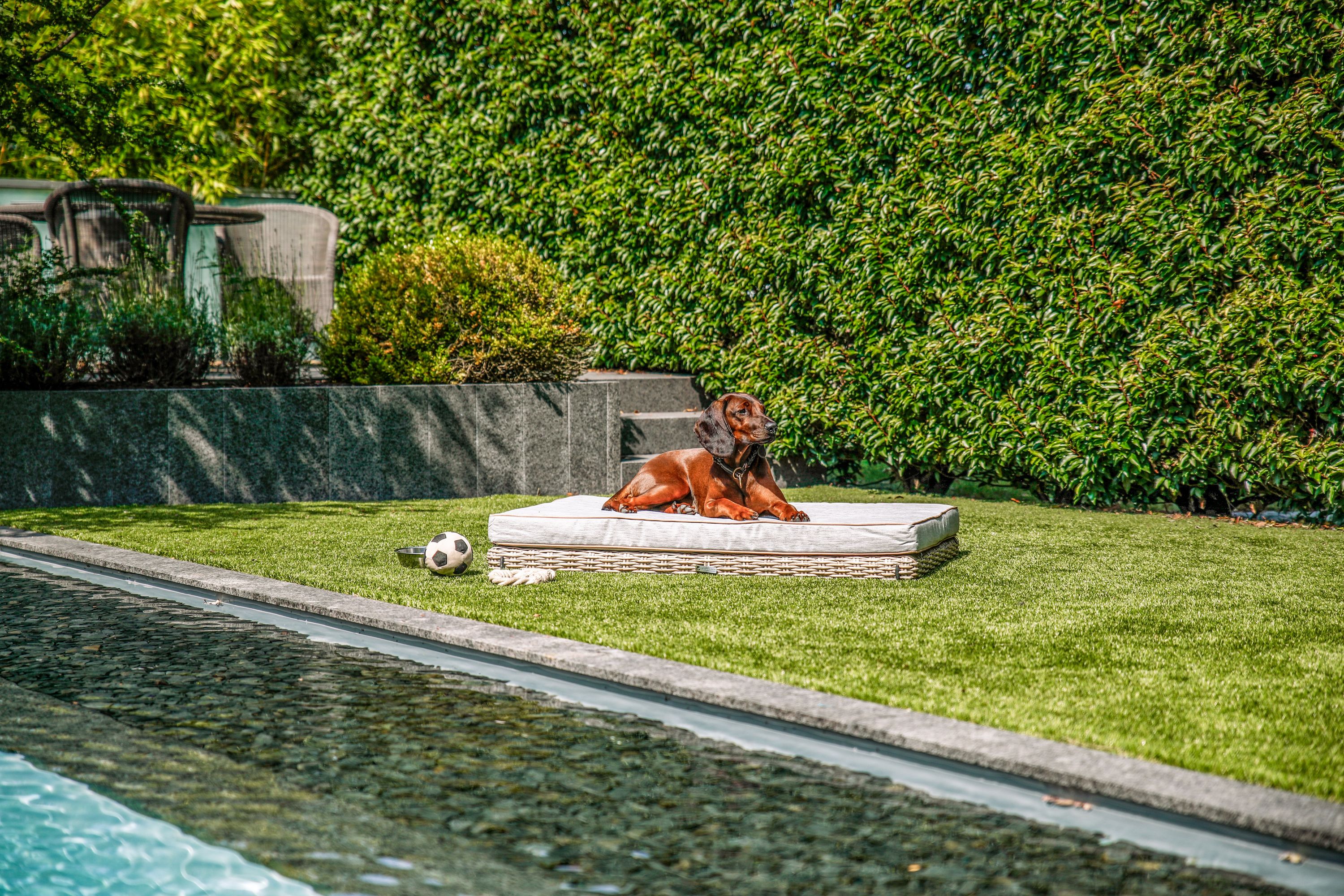 Hundesofa greemotion Outdoor