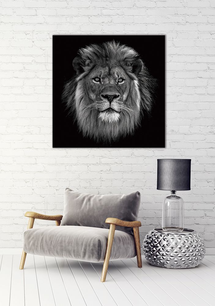 Glasbild KÖNIG DER LÖWERN