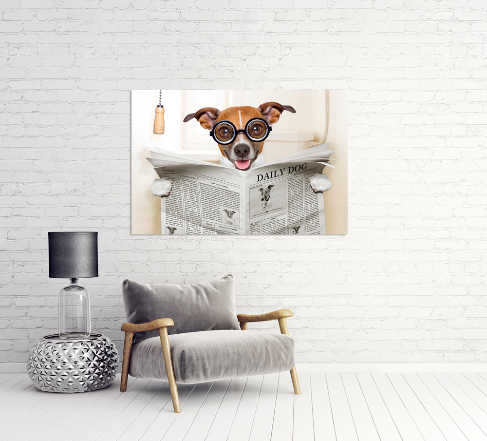 Akustikbild HUND MIT ZEITUNG