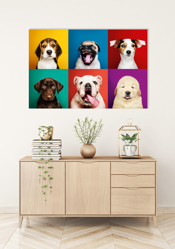 Akustikbild LUSTIGE HUNDE