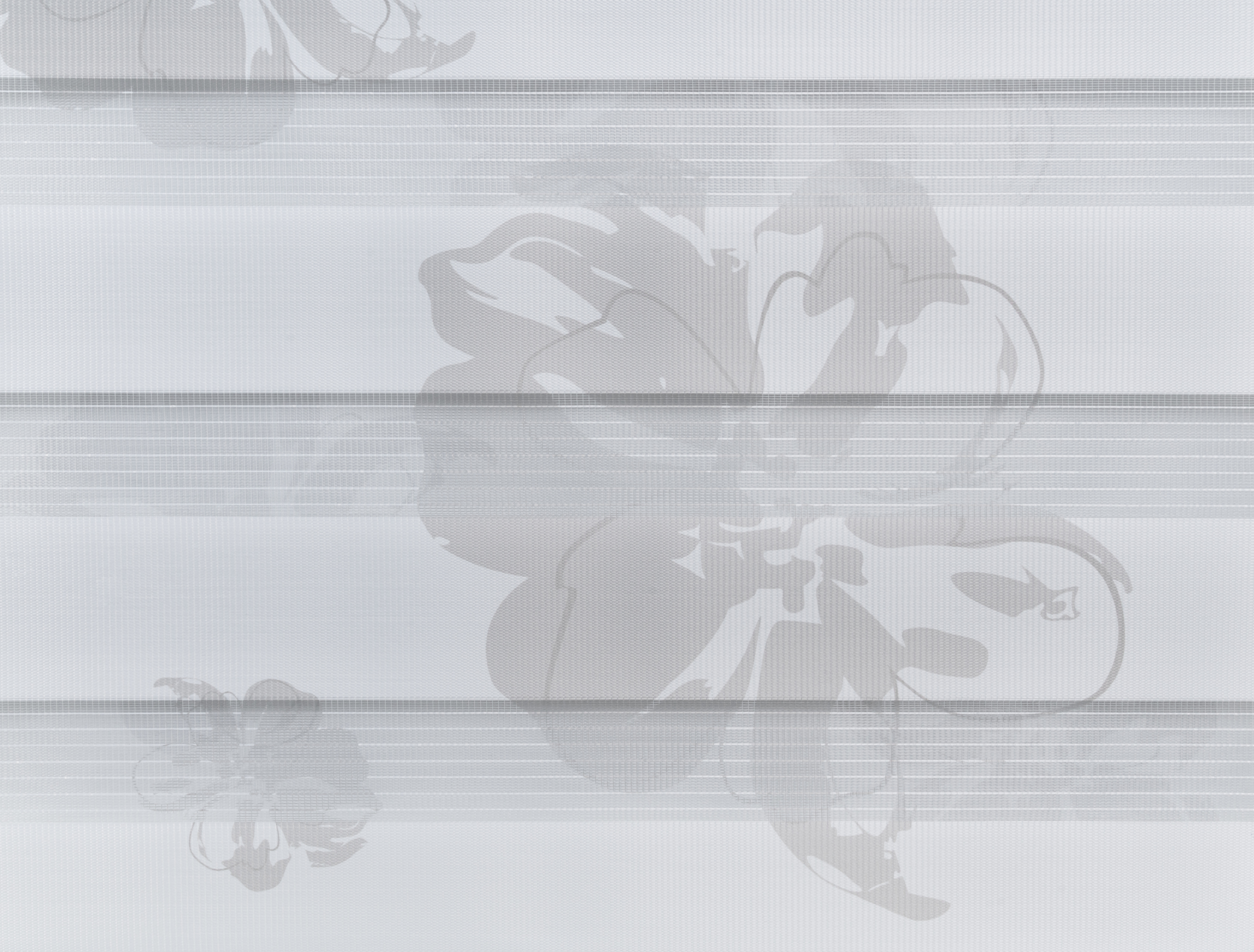 Doppelrollo FLORAL 100x160 cm