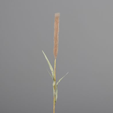 Kunstblume Pampasgras
