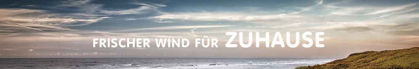 Frischer Wind für zuhause - Horizont mit Meer und Dünen in Abendstimmung