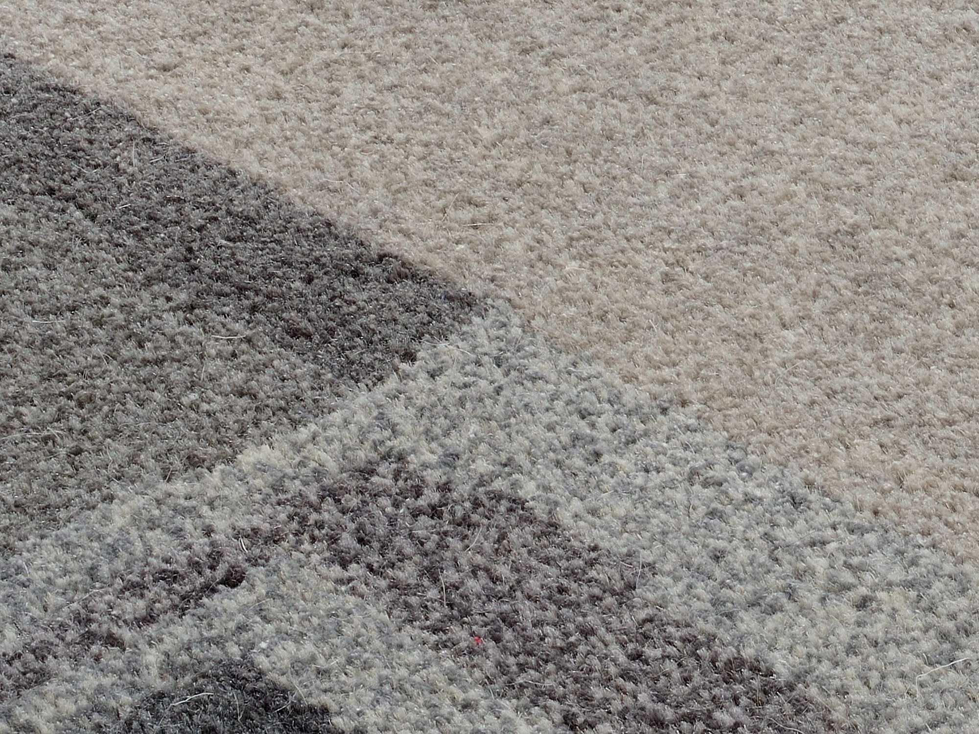 Teppich AWARD SUNTALI BORDER