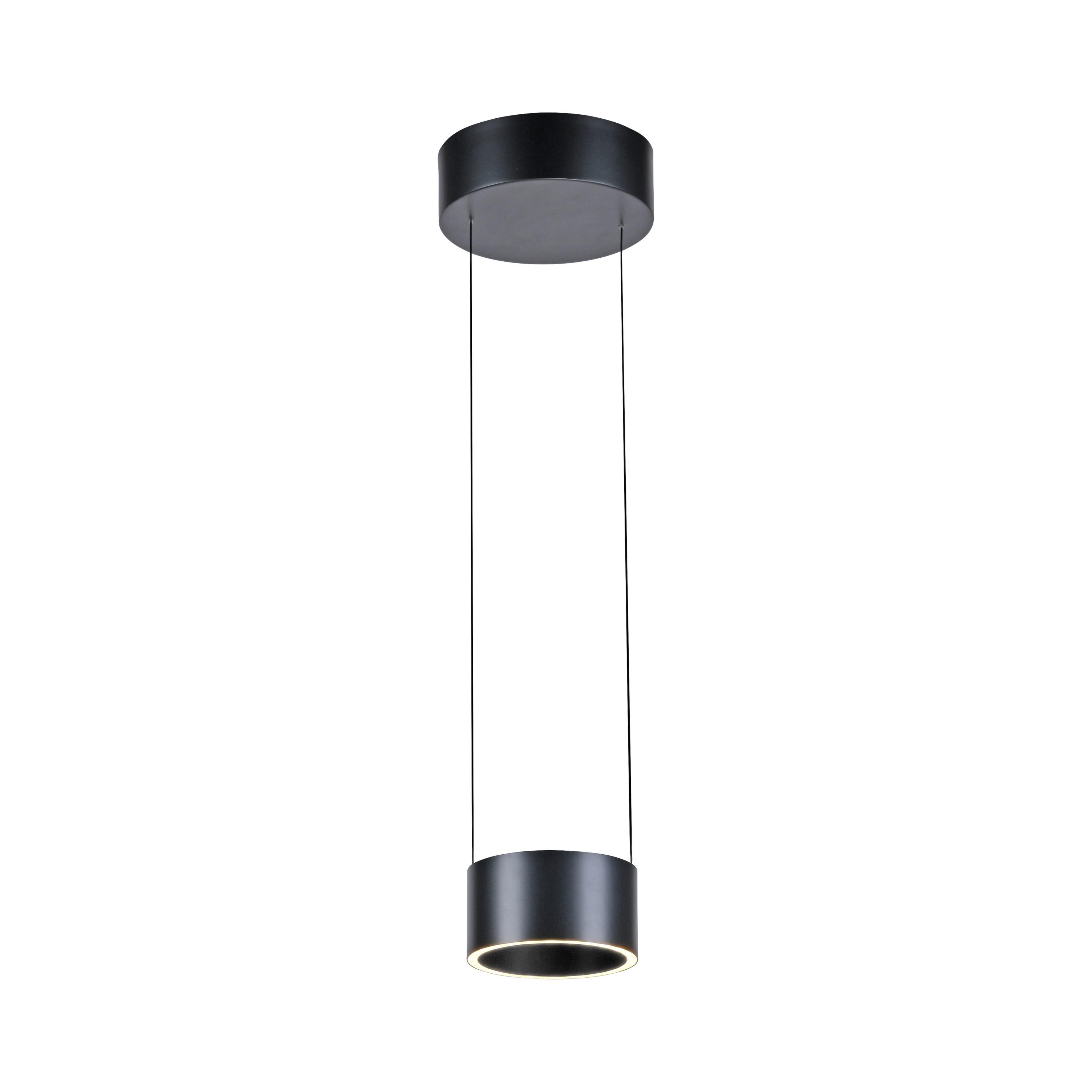 Pendelleuchte PURE CLIPSE