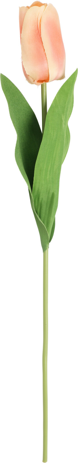 Kunstblume TULPE