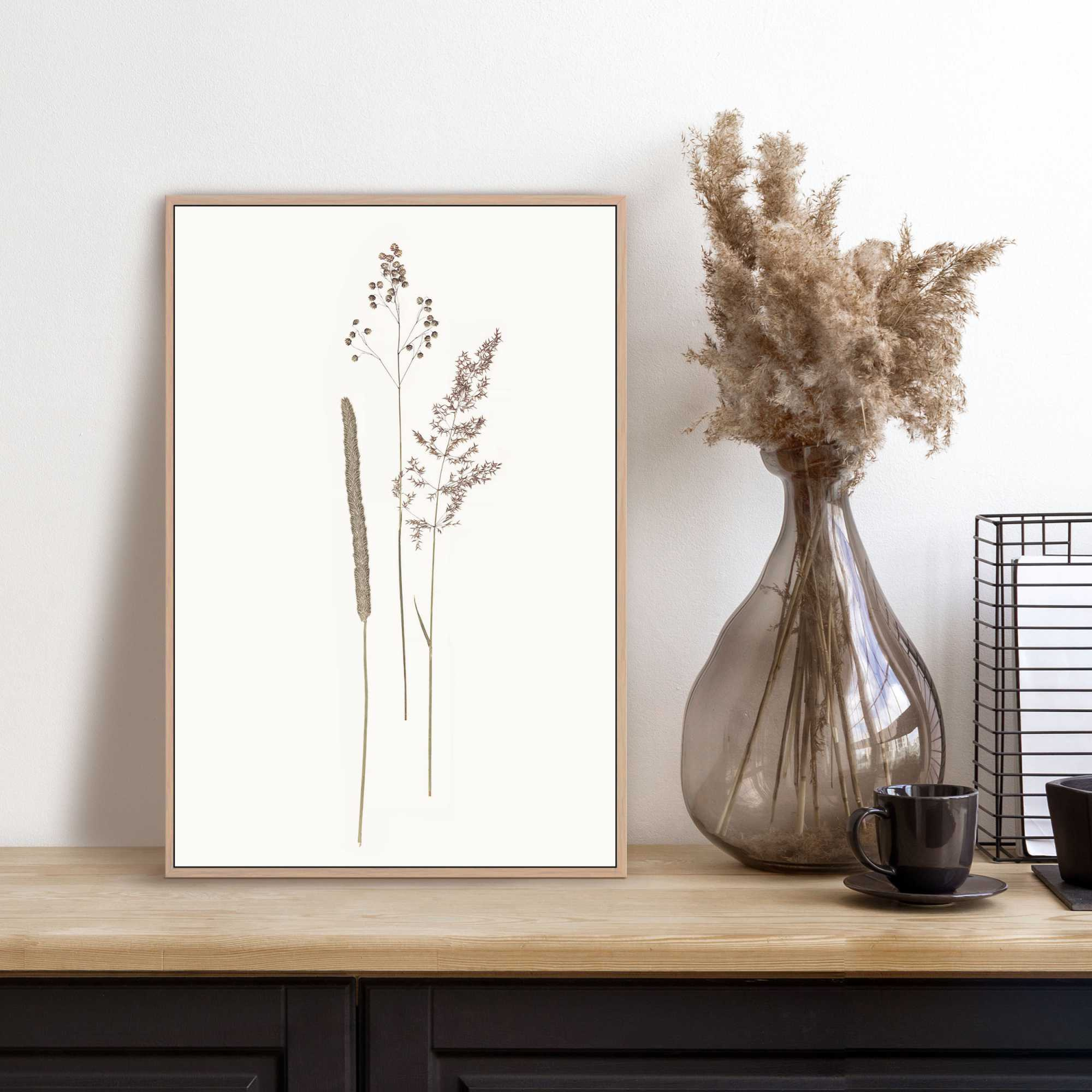 Bild DRIED FLOWERS