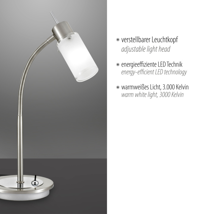 Tischleuchte MAX LED