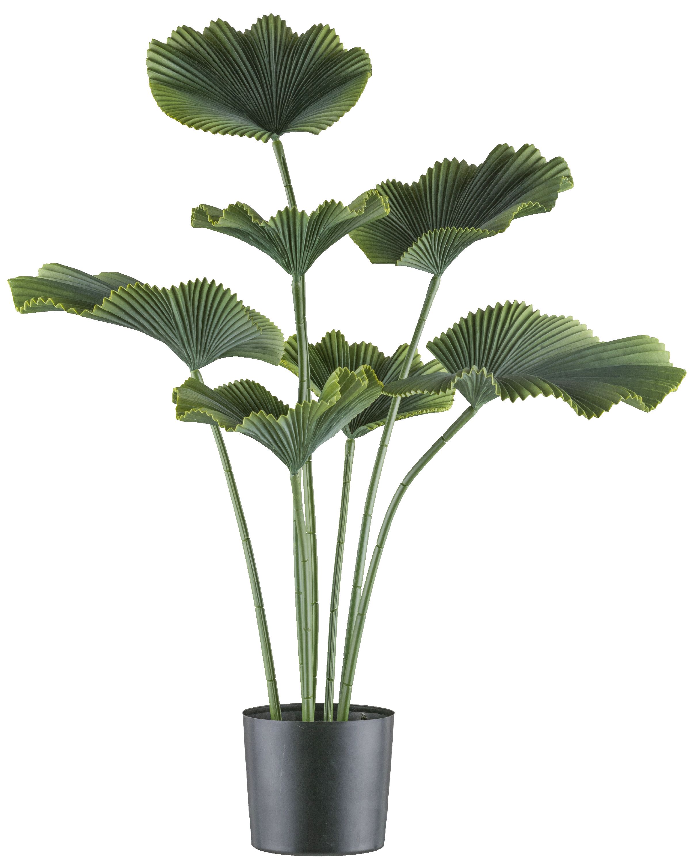 Kunstpflanze Strahlenpalme