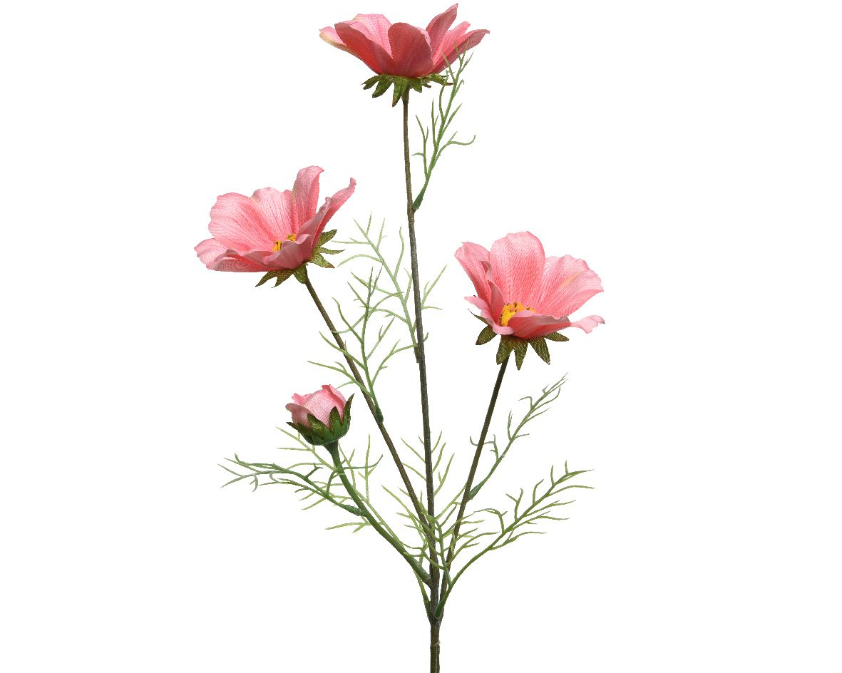Kunstblume COREOPSIS