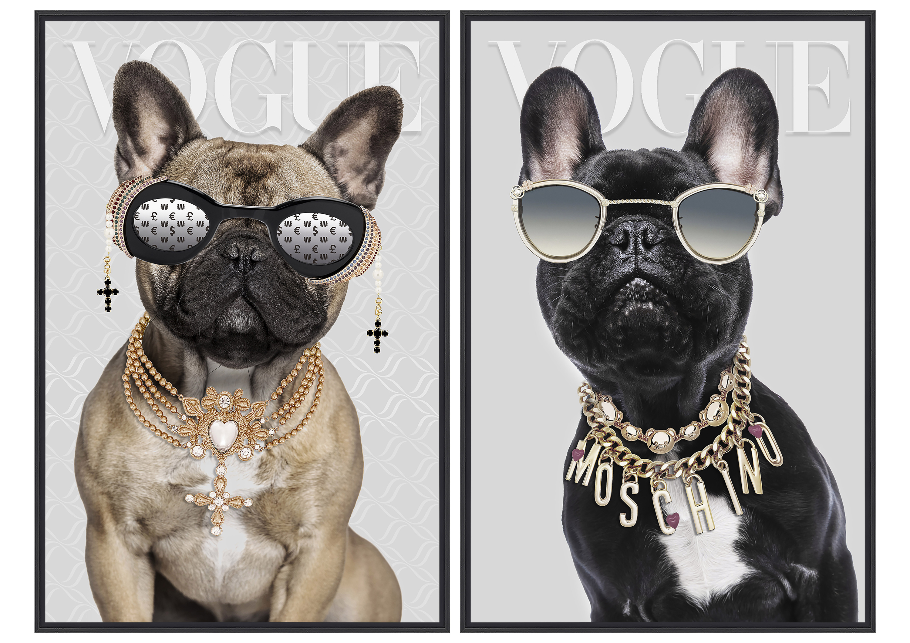 Bild GLAMOROUS DOGS