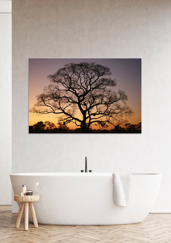 Akustikbild GIGANTISCHER BAUM