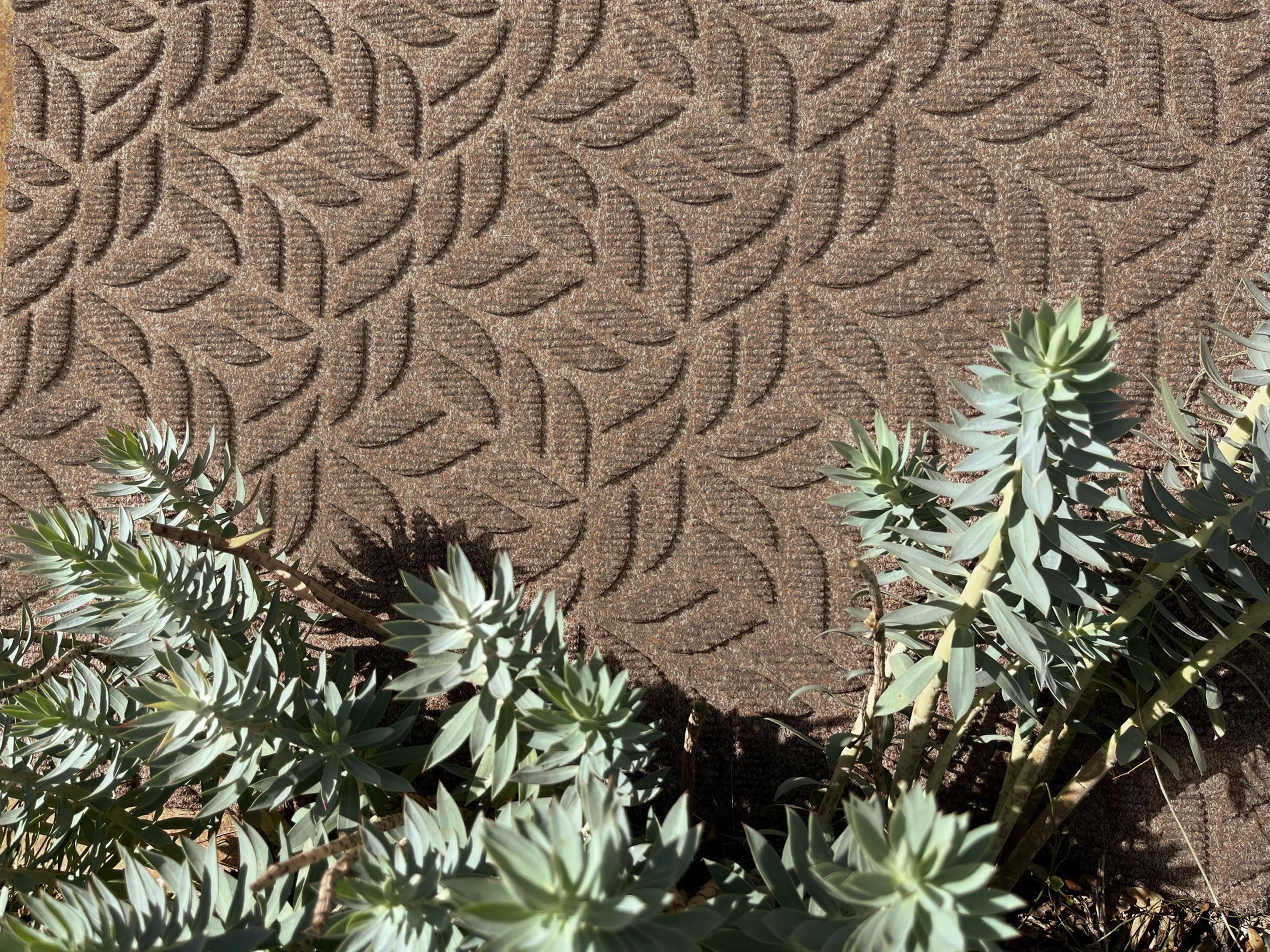 Fußmatte DUNE LEAVES TAUPE
