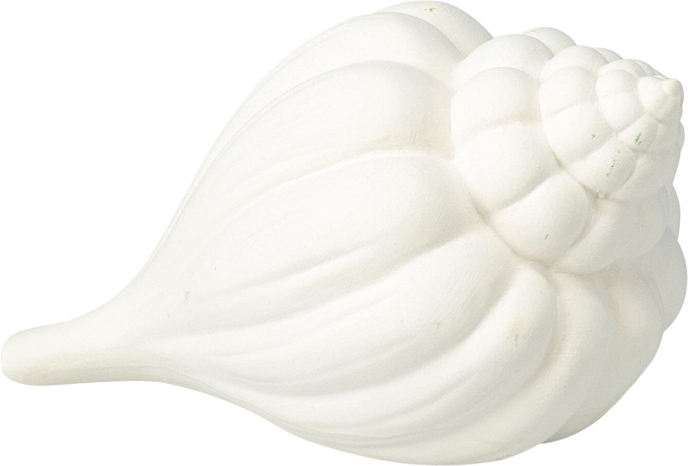 Muschel