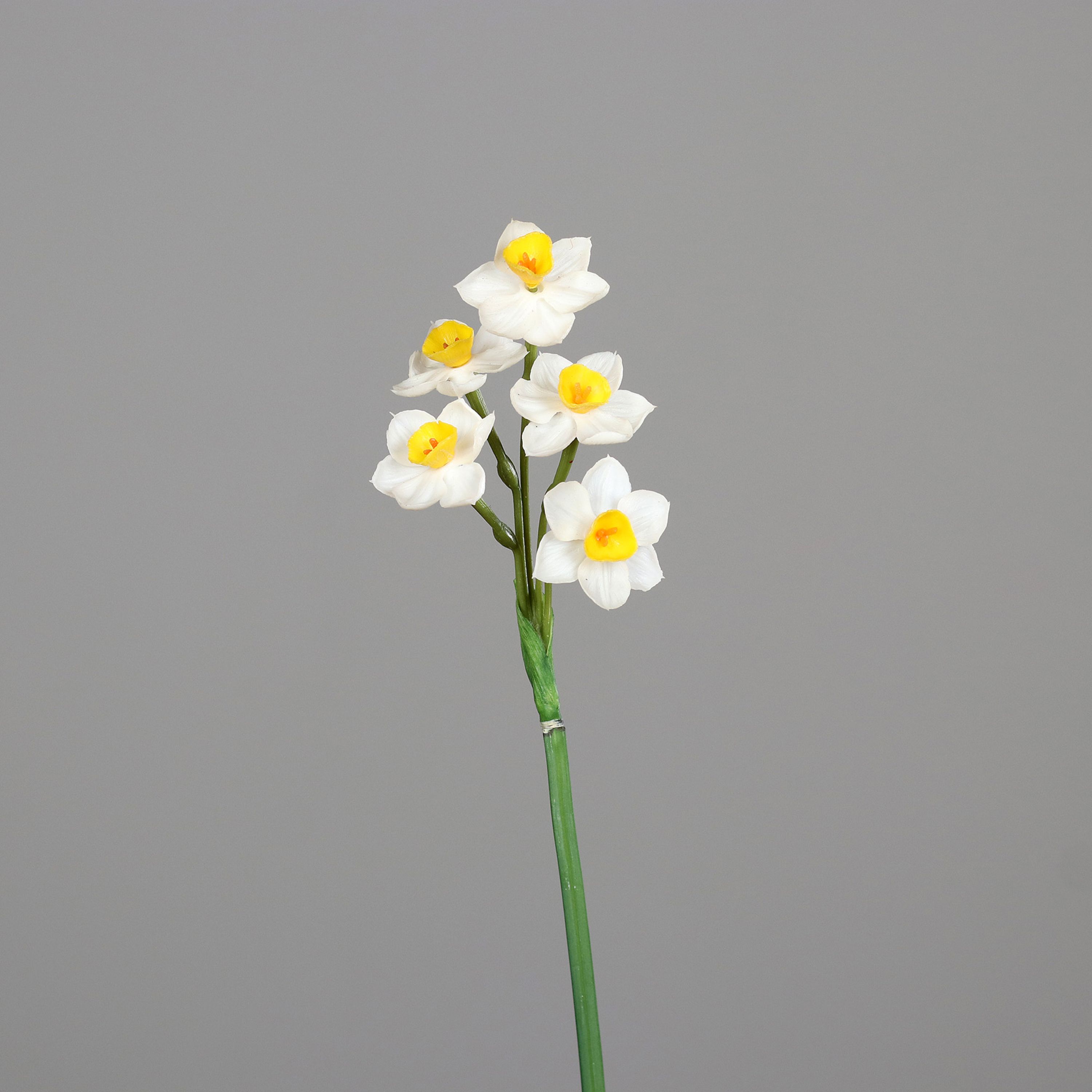 Kunstblume Narzisse