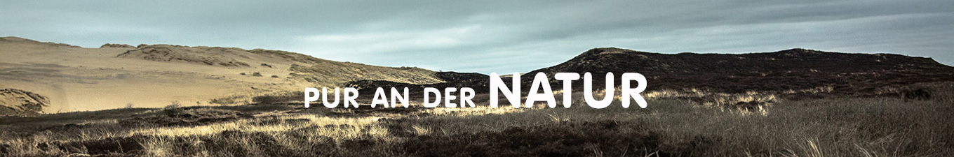 Pur an der Natur - Eine weitläufige Dünenlandschaft mit wolkigem Himmel