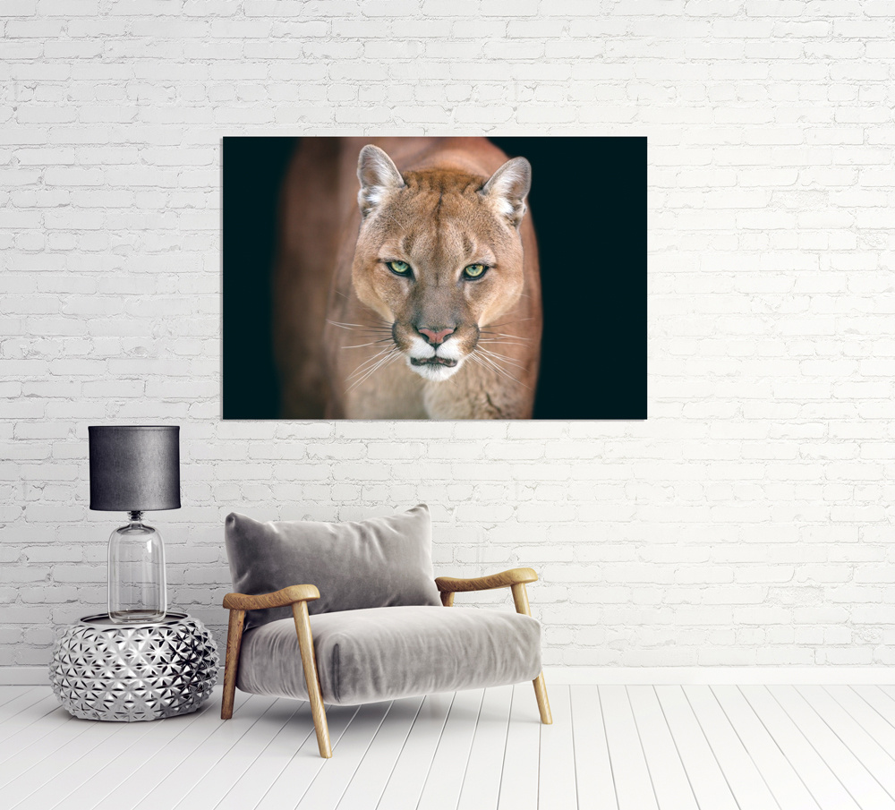 Akustikbild PUMA