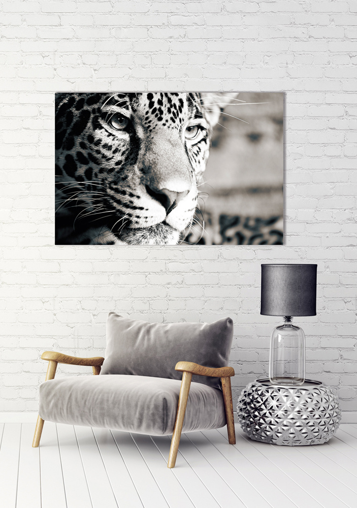 Akustikbild LEOPARD