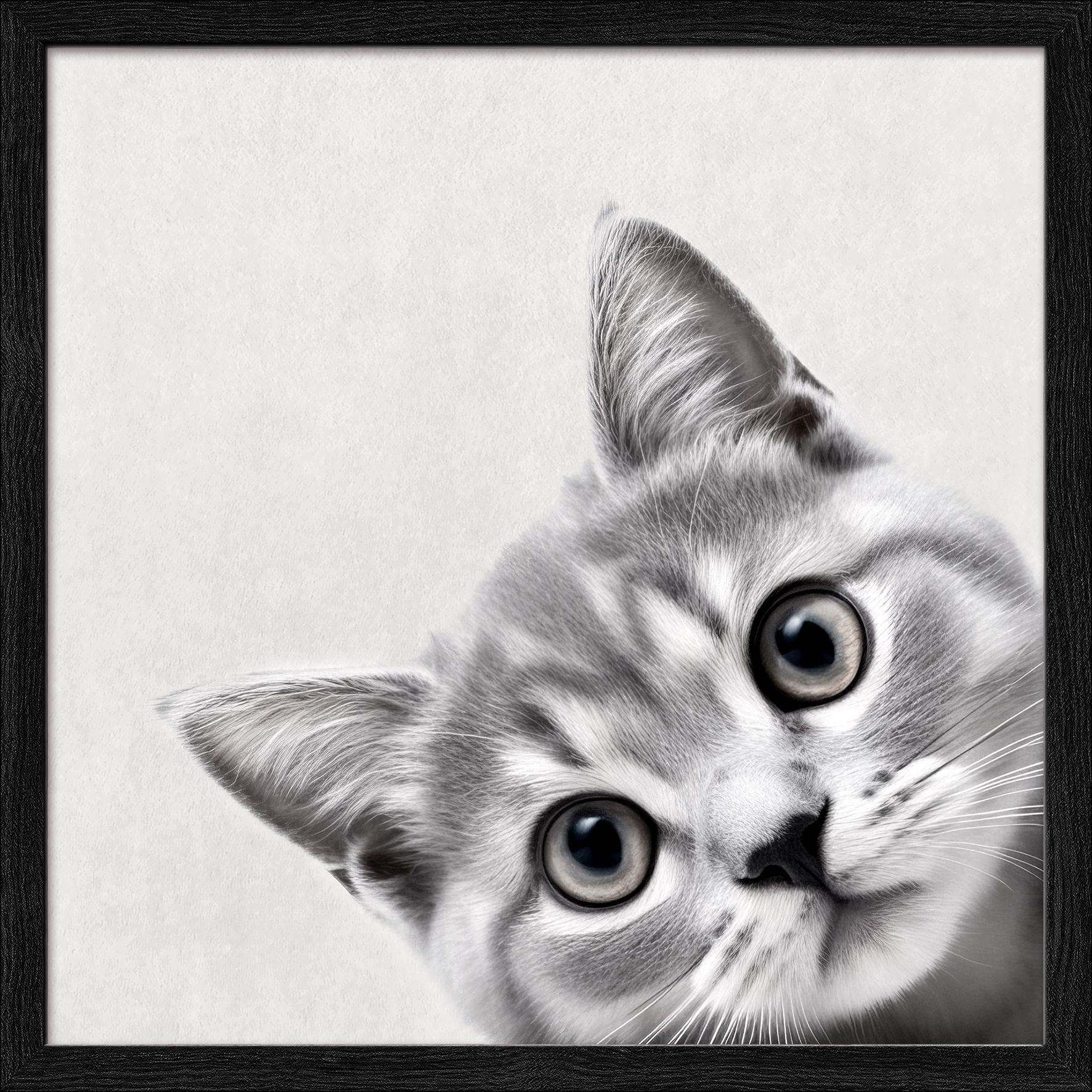 Gerahmtes Bild FUNNY CAT II