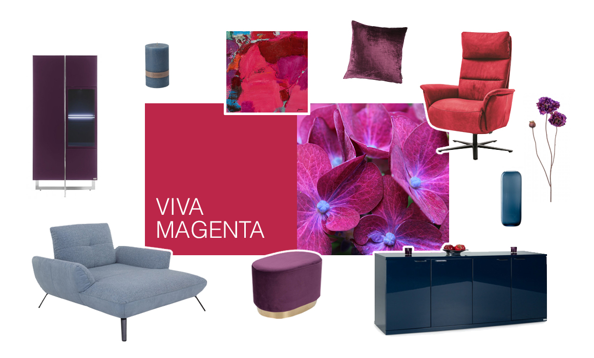 Farbwelt Viva Magenta - Arrangement von Möbeln und Accessoires in Farbtönen von Pink bis Blau - Foto einer pinkfarbenen Hortensie