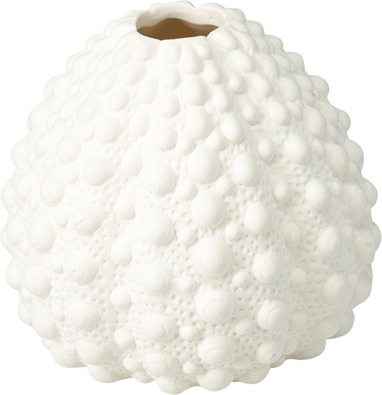 Vase Muschel