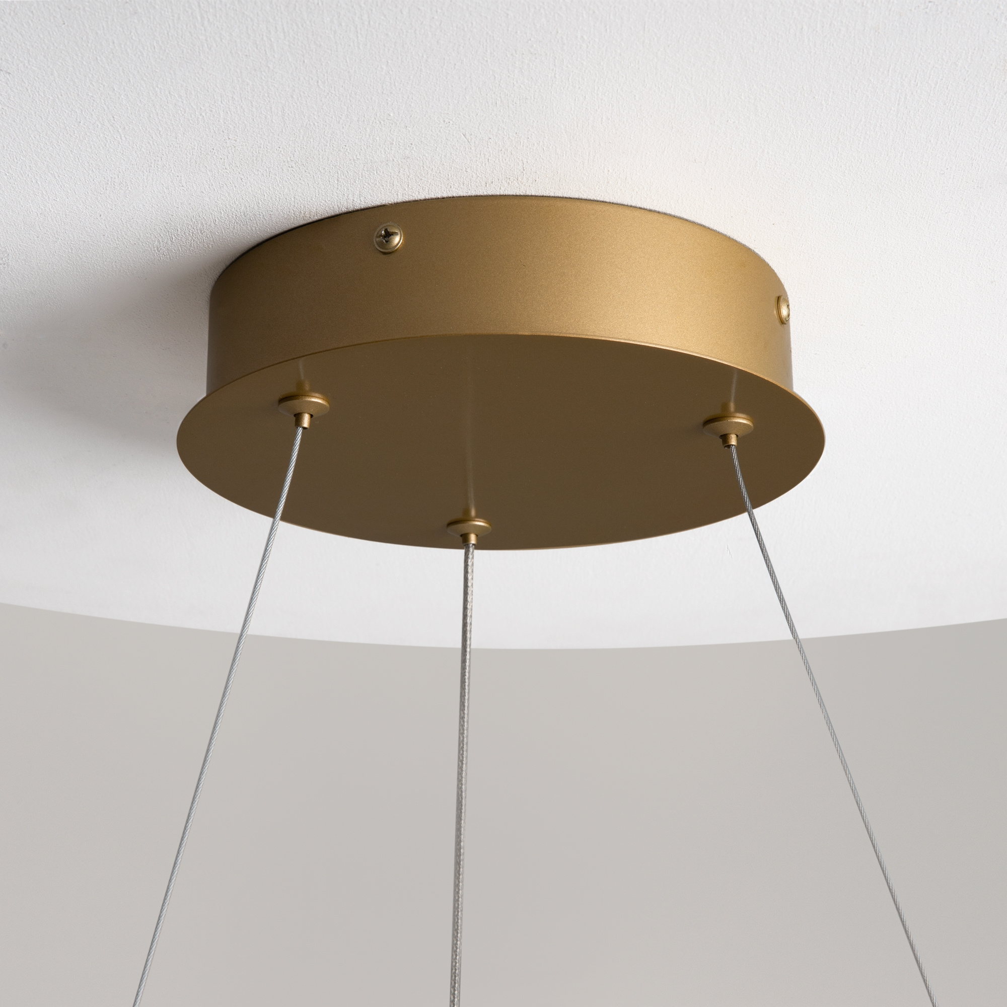 Pendelleuchte CURVE