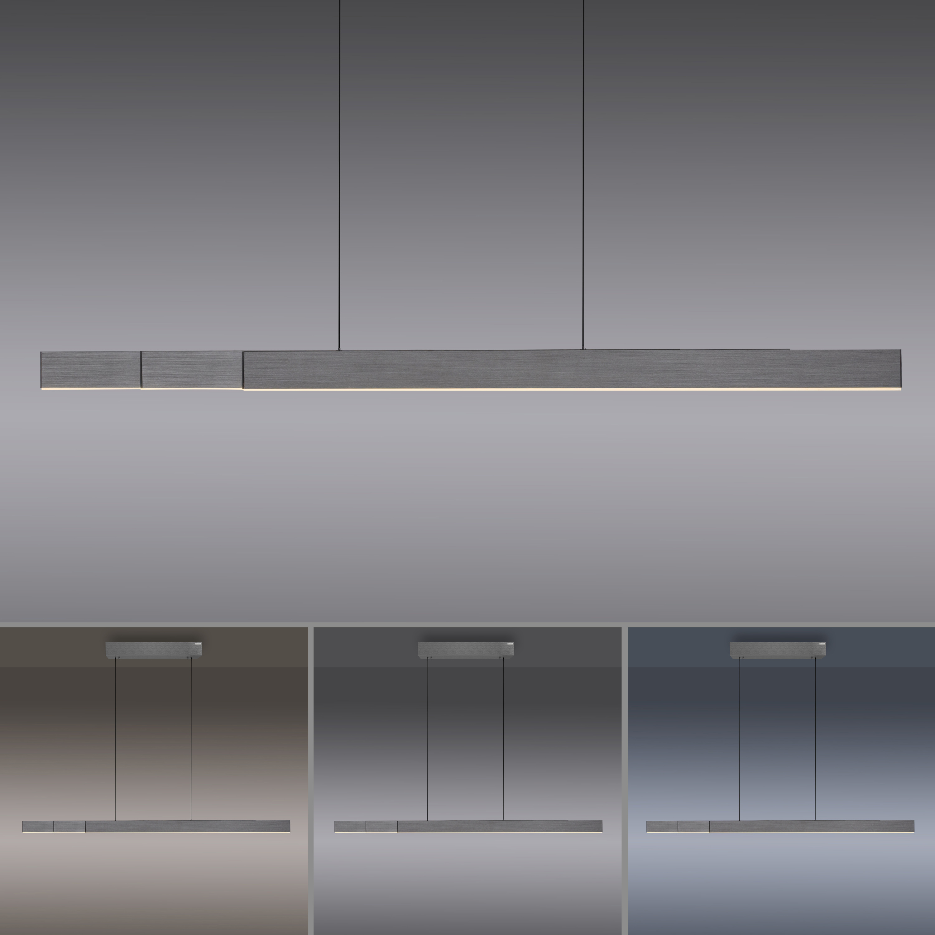 Pendelleuchte PURE MOTO-RISE