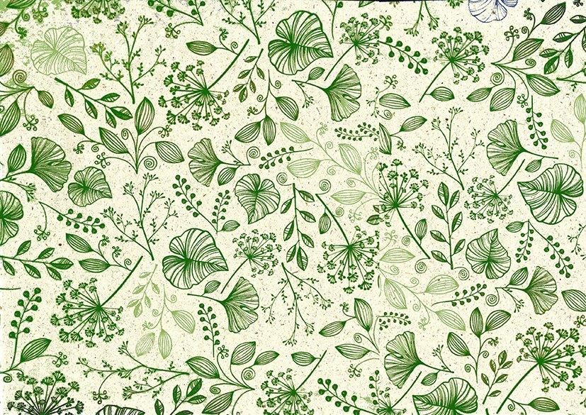 Geschenkpapier BOTANIC-MIX