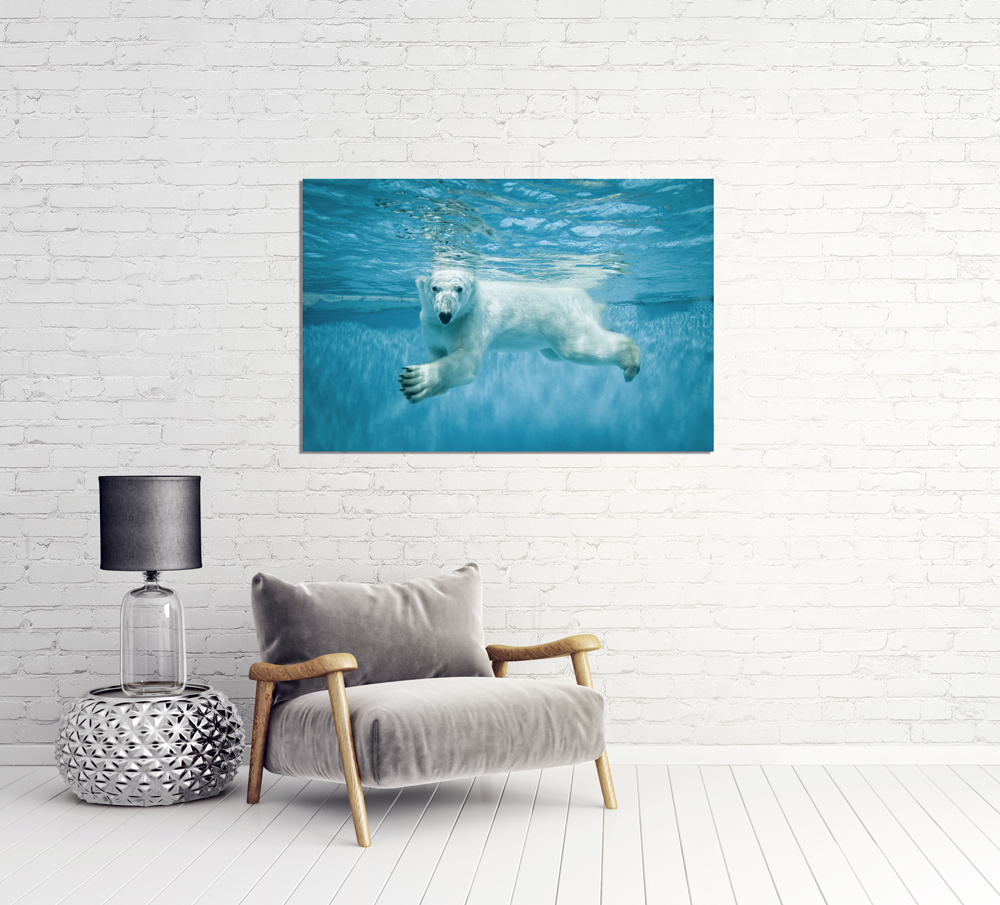 Akustikbild EISBÄR