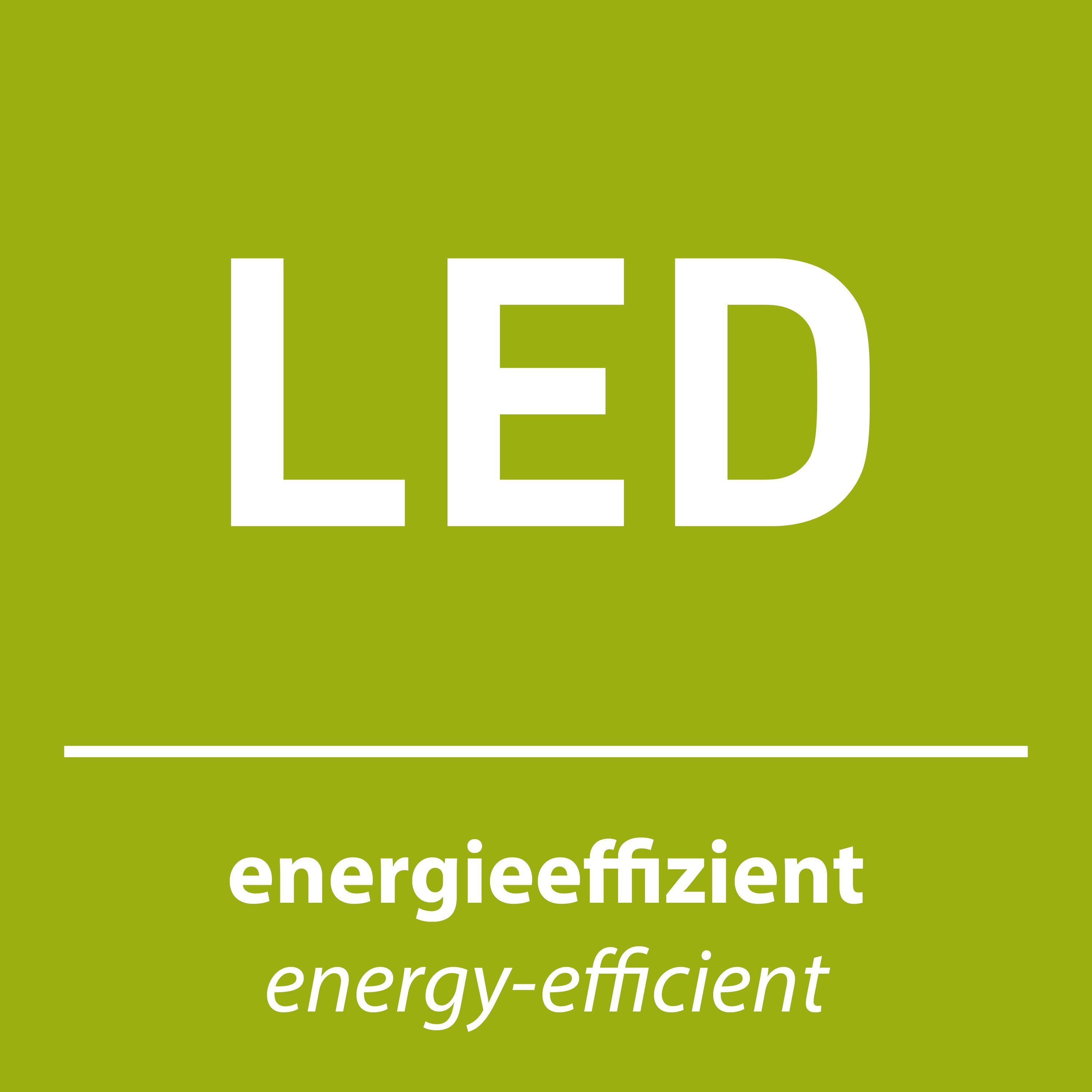 Leuchtobjekt HERZ  LED NEON