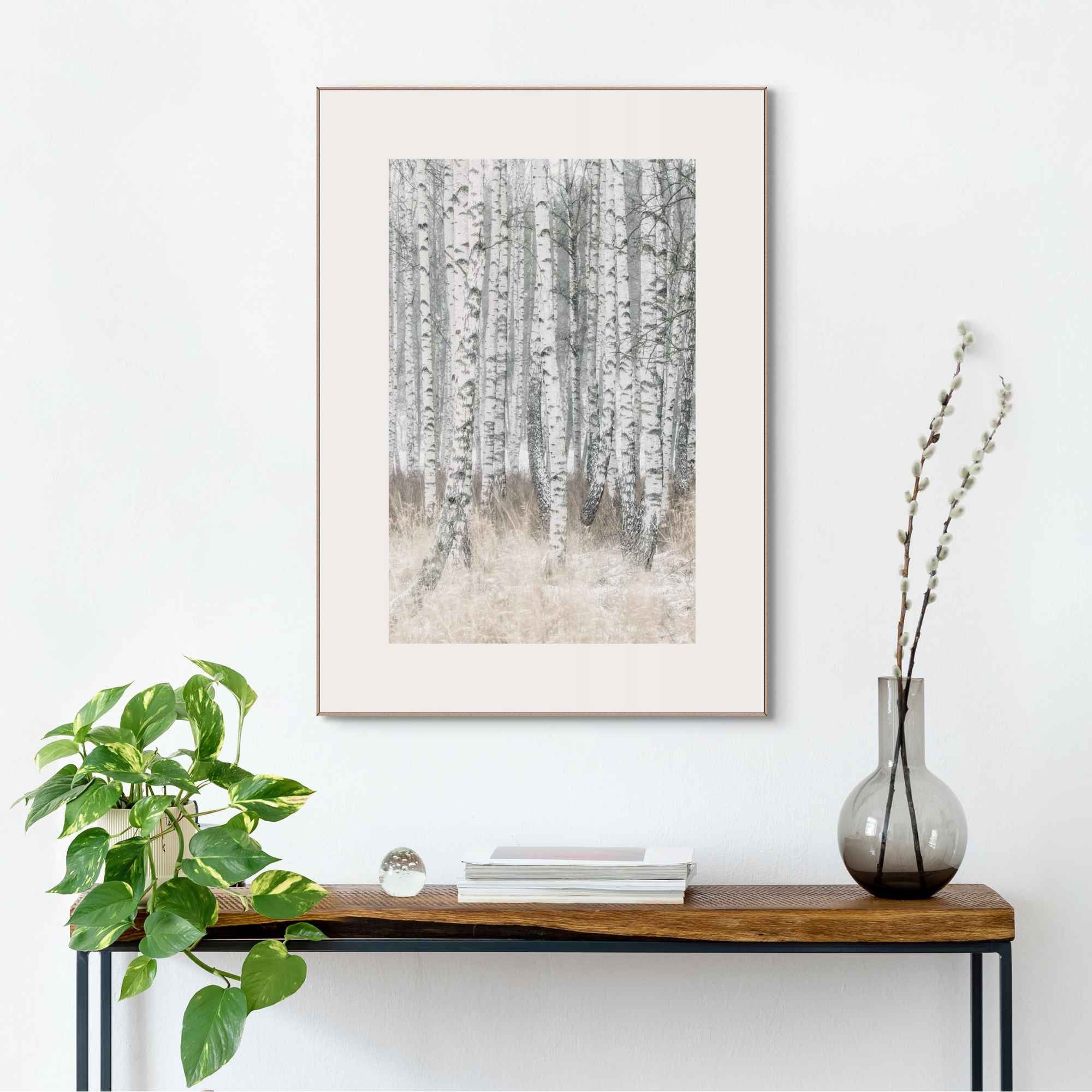 Bild BIRCH TREES