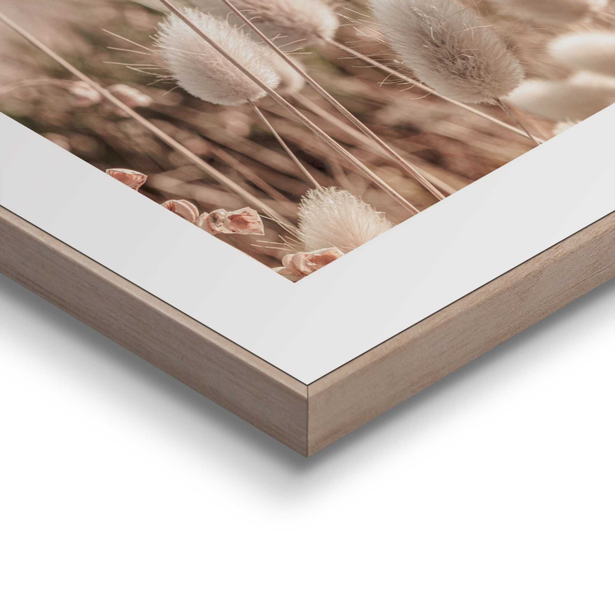 Bilder-Set NATURE