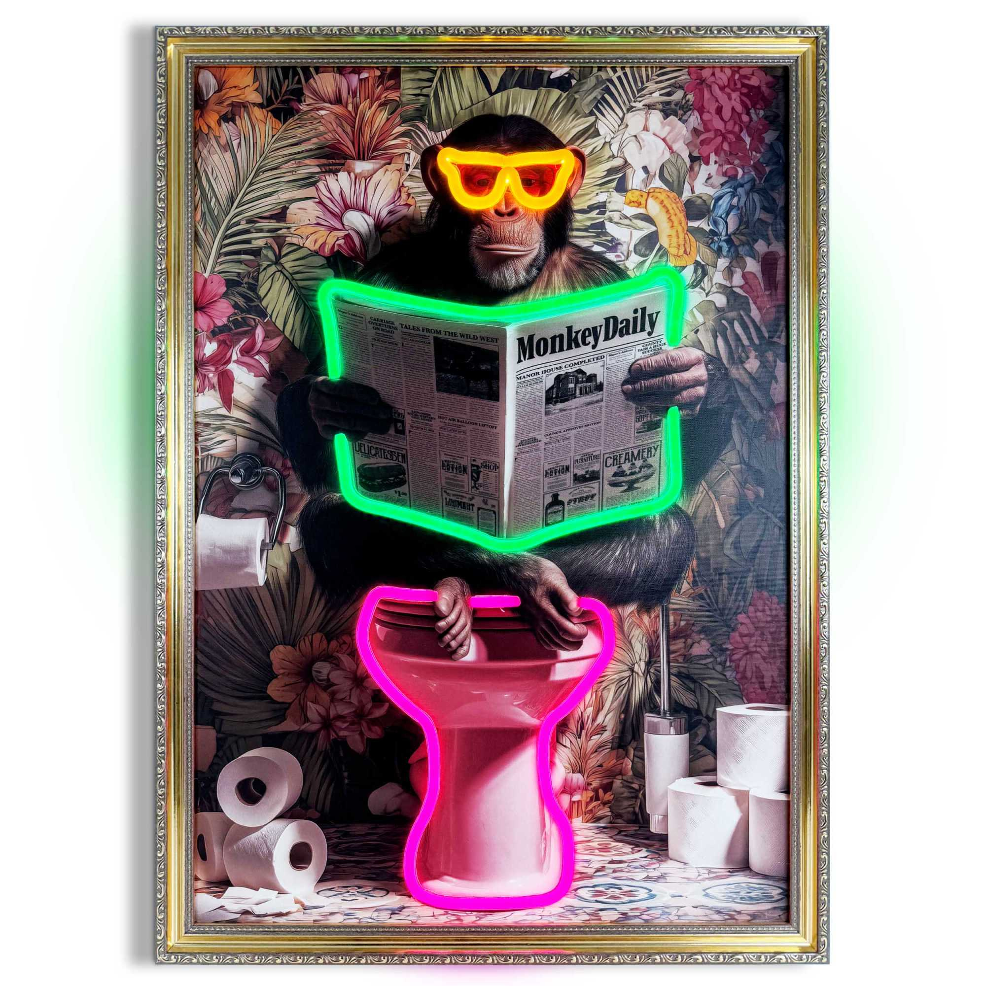Bild MONKEY TOILET BREAK